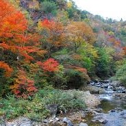 岡山県新見市の秋